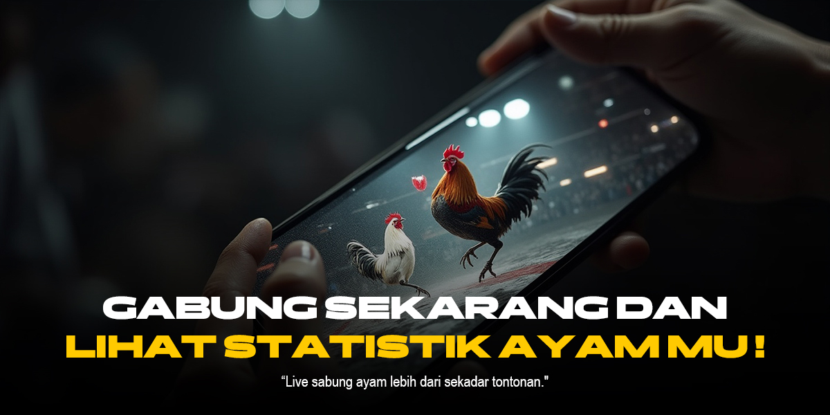 Sabung Ayam SV388: Adu Ayam Modern dengan Peluang Menang Tinggi