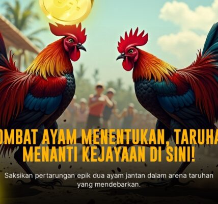 Sabung Ayam SV388: Panduan Lengkap Jenis Ayam dan Odds