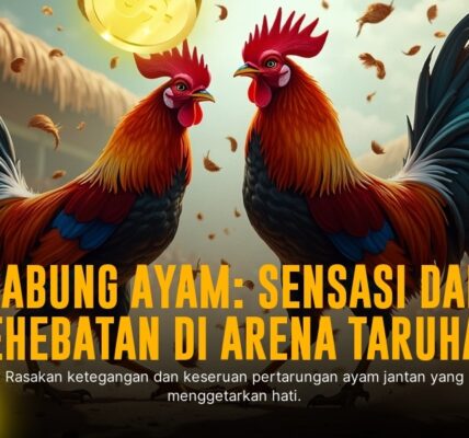 Mengerucut ke Jenis Ayam Bangkok di Dunia Sabung Ayam Online