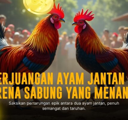 Mengenal Jenis Ayam Bangkok Dalam Sabung Ayam SV388