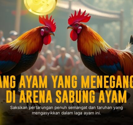 Mengenal Ayam Bangkok SV388: Raja Sabung Ayam Modern